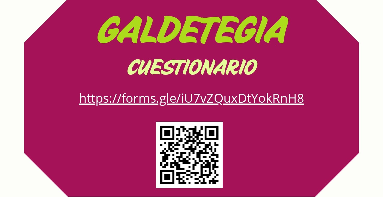 Aisialdiari eta eguneroko lanei lotutako behar sozialen inguruko galdetegia