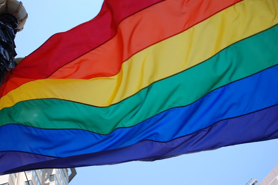 LGTBI komunitatearen egunean, aniztasun afektibo-sexualaren eta genero identitatearen inguruko tailerra