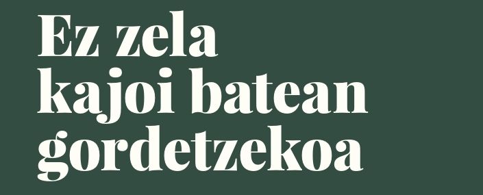 'Ez zela kajoi batean gordetzekoa' liburuaren aurkezpena igandean