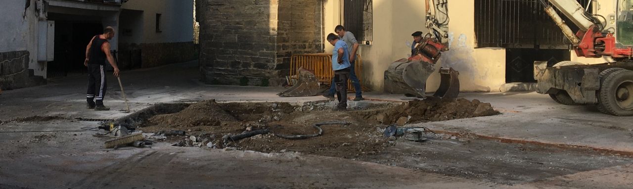 Bi zuhaitz bota dira plazan, eta iturri bat jarriko da