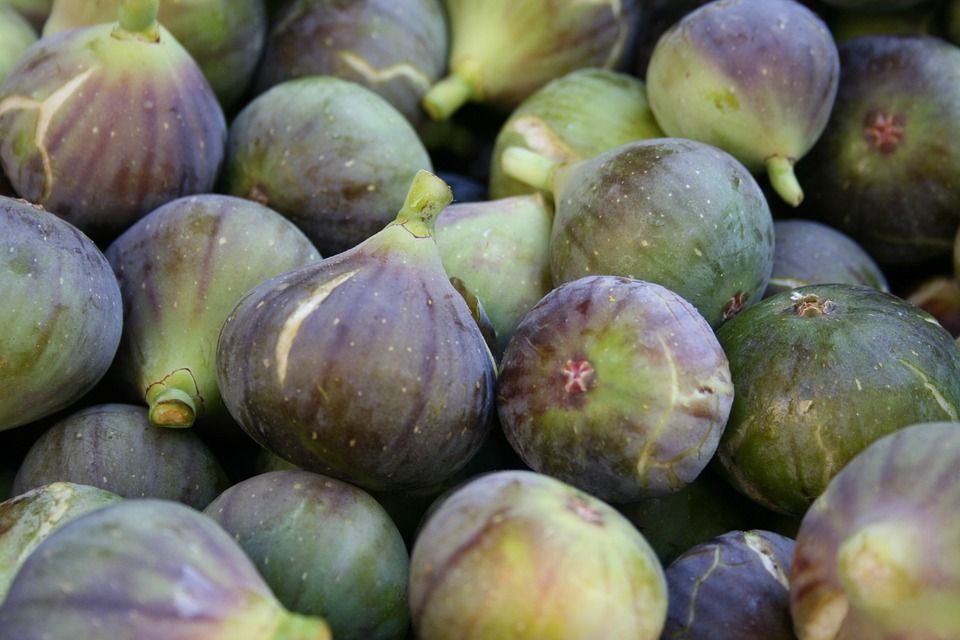 Nola bizi dugu konfinamendua legorretarrok? Argazki bilduma herritarrok antolatuta