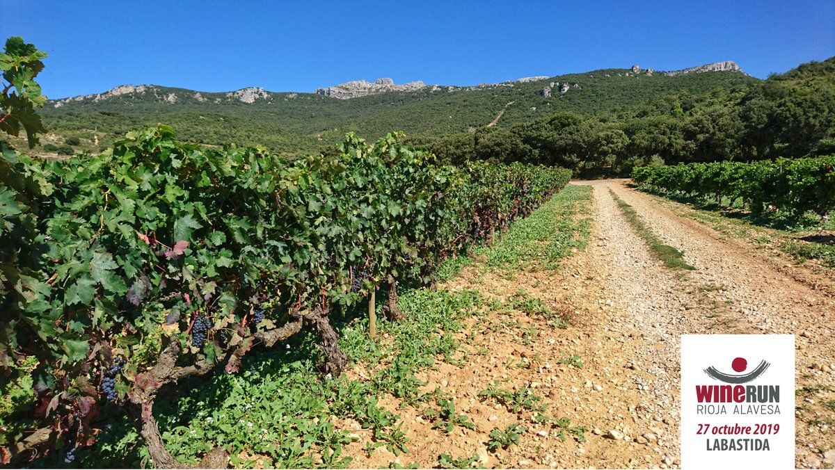 Bastidako Wine Run lasterketara joateko autobusa antolatu du Pikuk kirol klubak